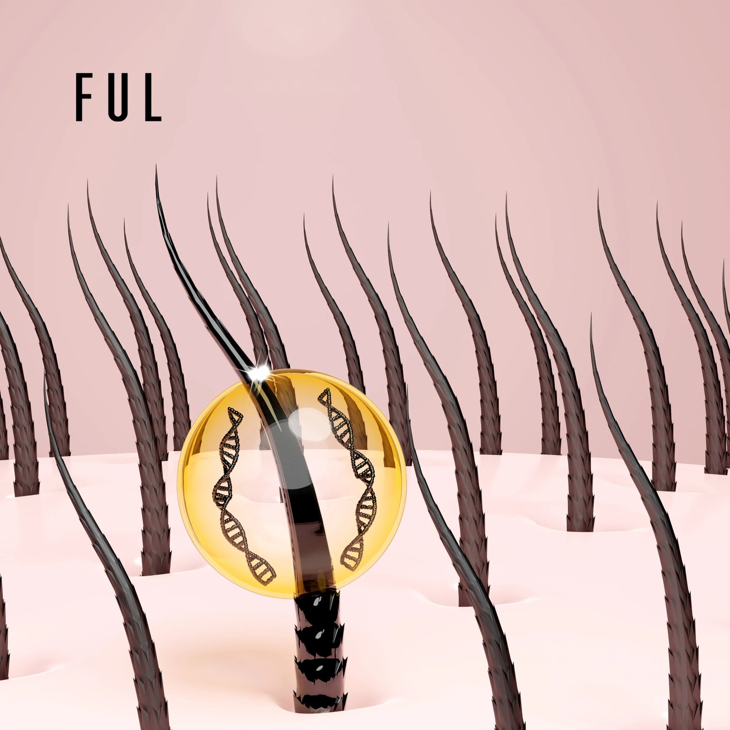 A Complete Guide to Dry Scalp Treatment