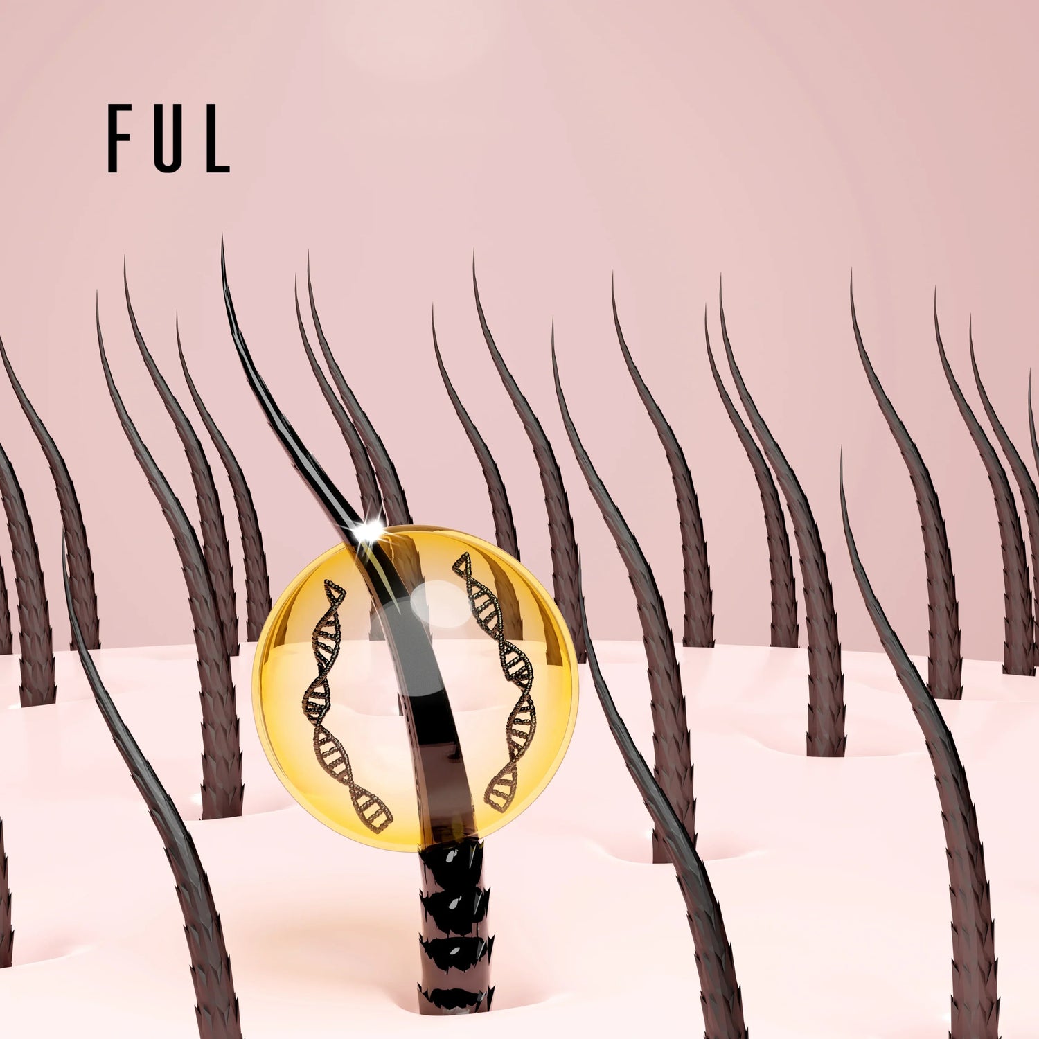 A Complete Guide to Dry Scalp Treatment