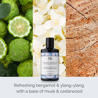 Ful Reset Repair shampoo bottle surrounded by bergamot, ylang-ylang, musk, and cedarwood elements.