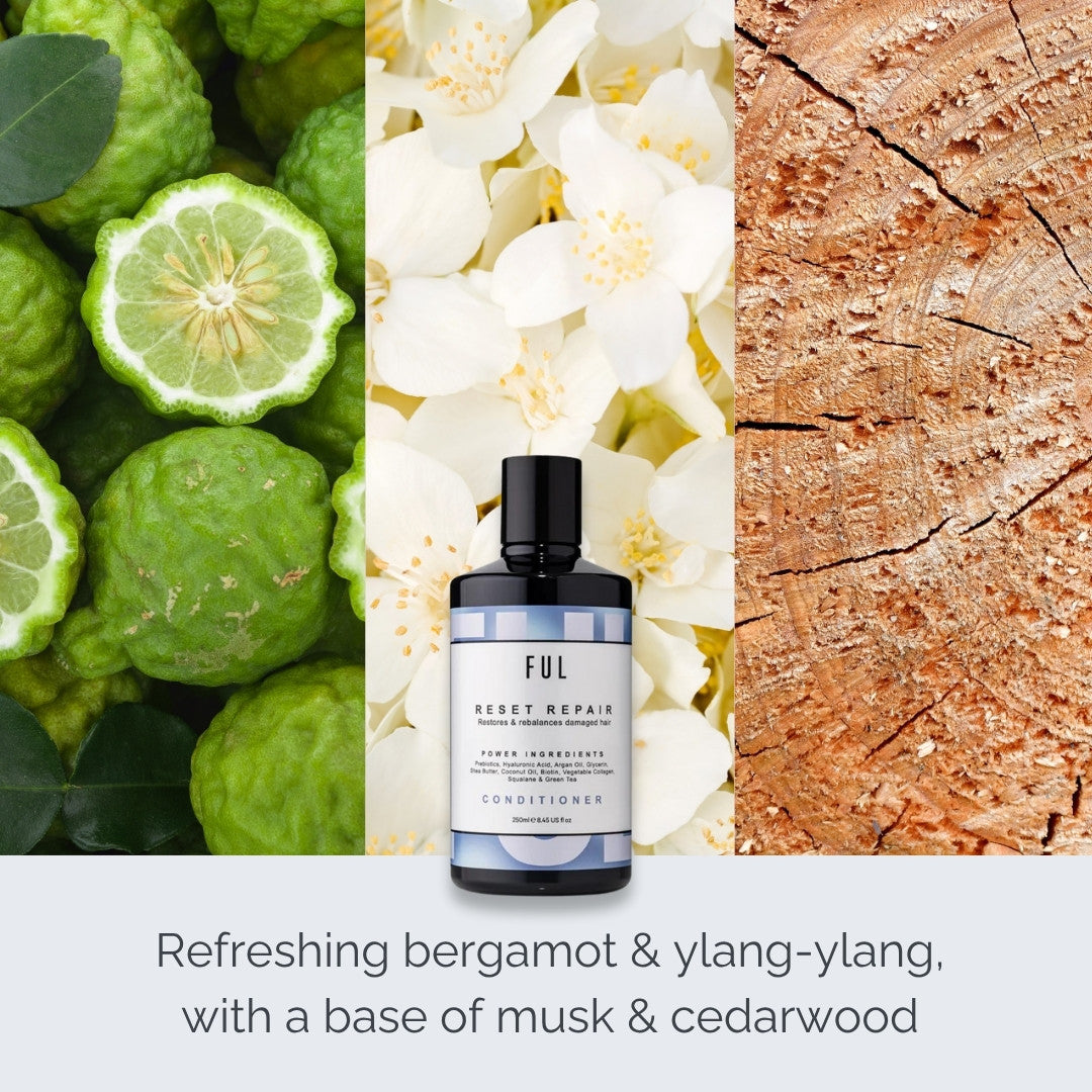 Bottle of FUL conditioner surrounded by bergamot, ylang-ylang, musk, and cedarwood elements.